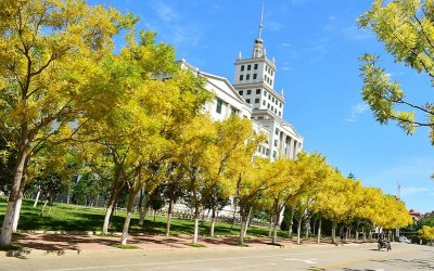 学习校园
