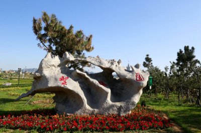 学习校园