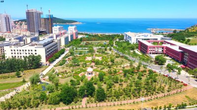 学习校园
