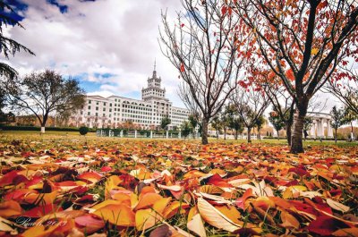 学习校园